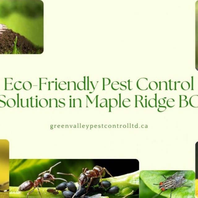 Green Valley Pest Control