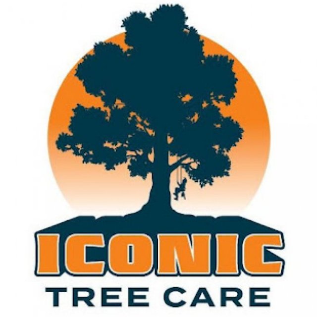 Iconic Tree Care