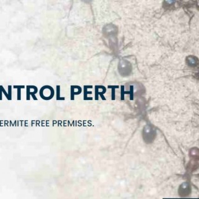 ANTS PEST CONTROL PERTH