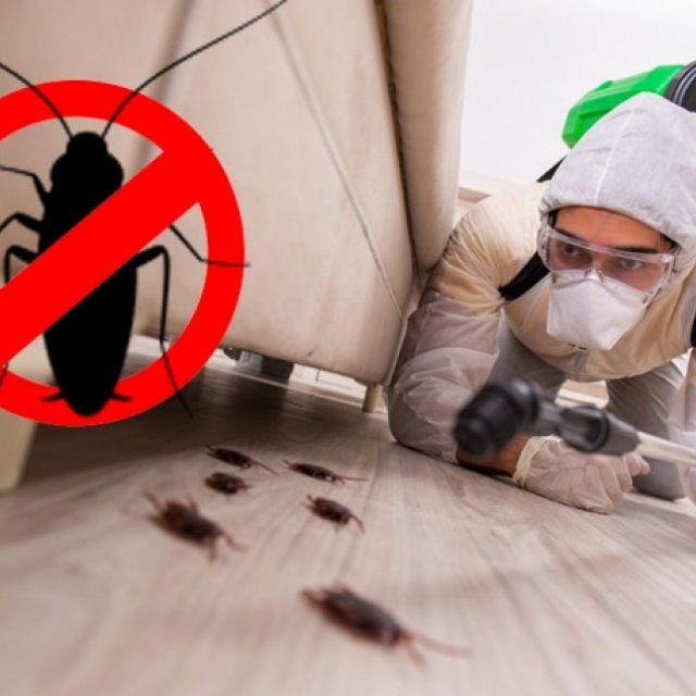 all pest control service