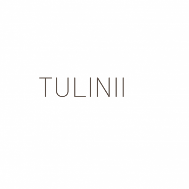 Tulinii