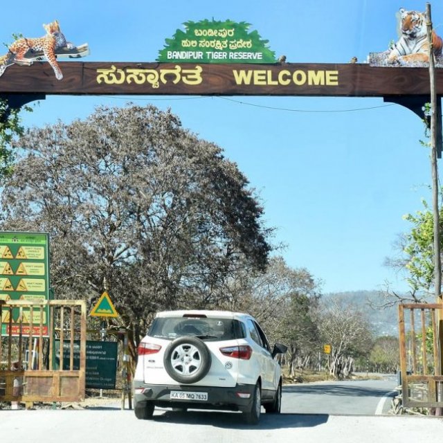 Bandipur National Park