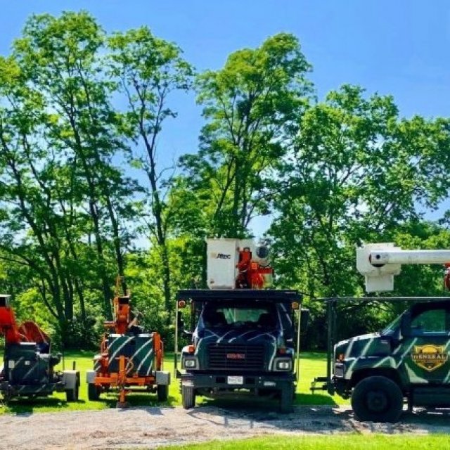 B&B Tree Services