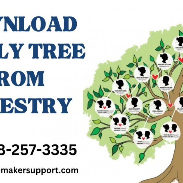 How To download a Tree From An Ancestry Account?