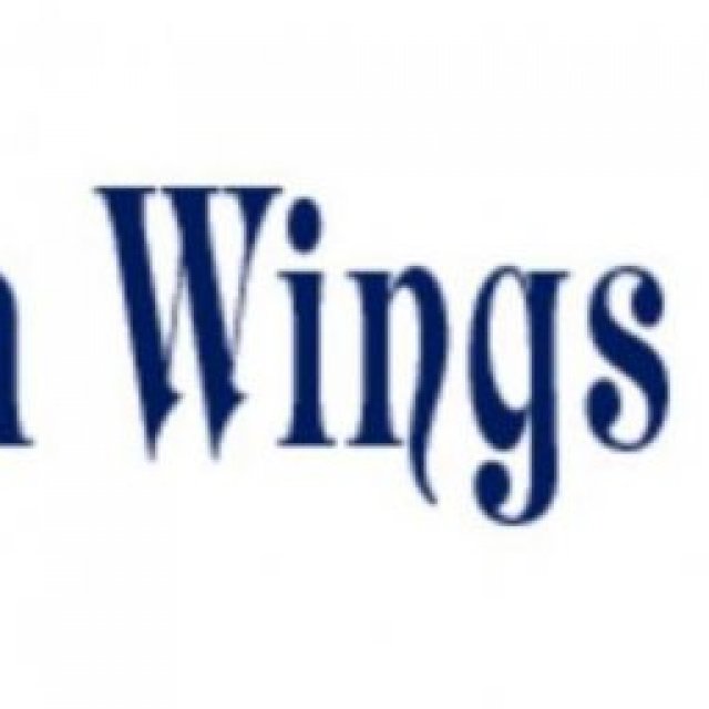 Sea Wings Logistics LLC : Freight Forwarding Company