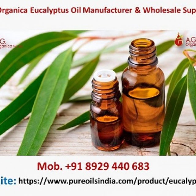 AG Organica Eucalyptus Oil Manufacturer & Wholesale Supplier