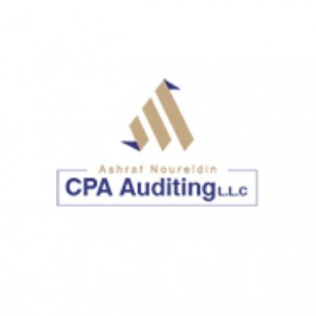 CPA Auditing LLC