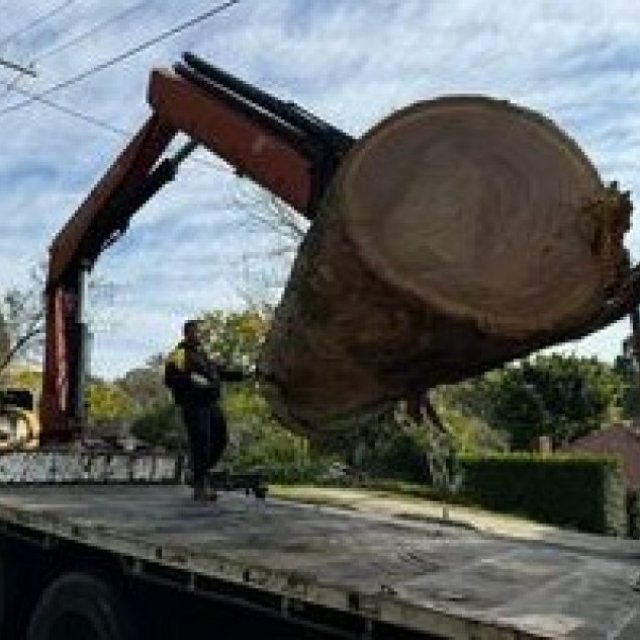 SydneySide Tree Services