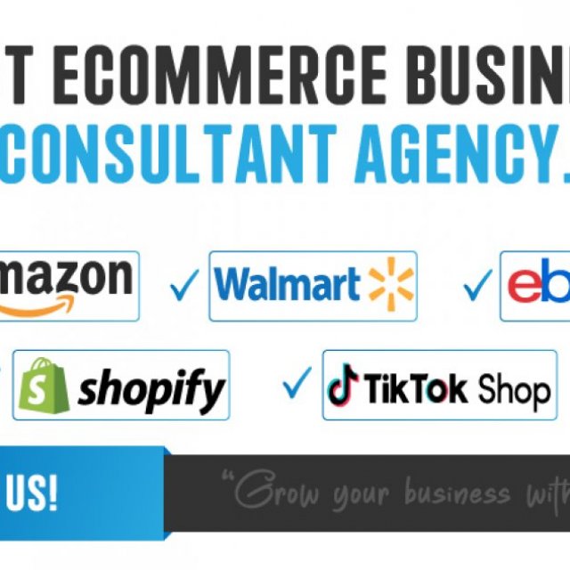 Best eCommerce Business Consultant Agency.