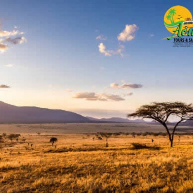 Aoukings Tours  & Safaris