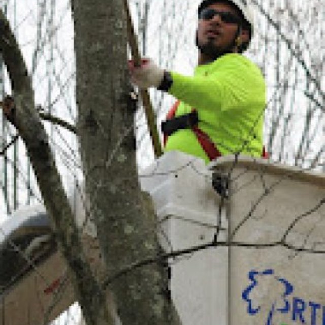 RTEC Treecare