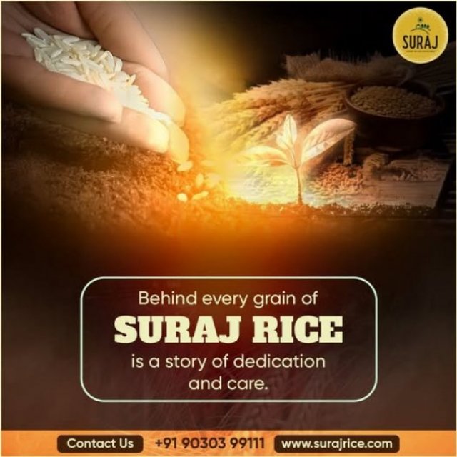 Suraj Rice