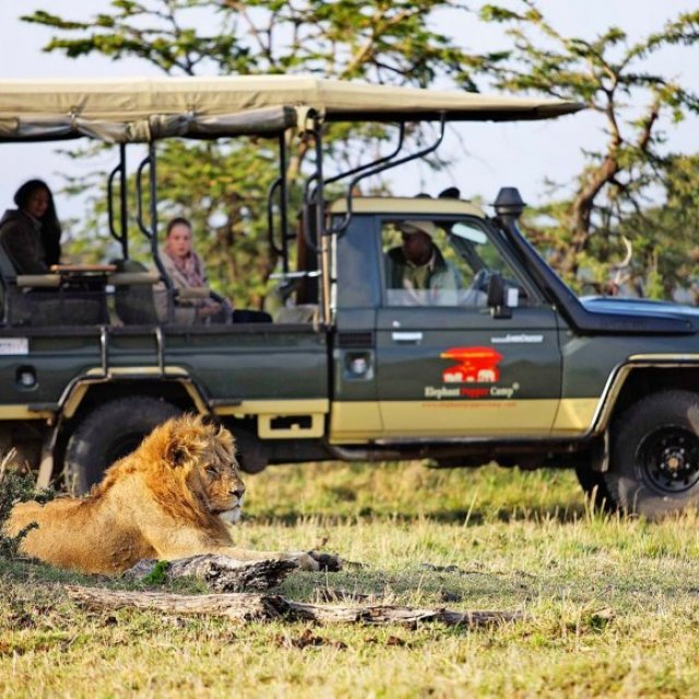 MY PRICE AFRICASAFARIS ANDADVENTURES LIMITED