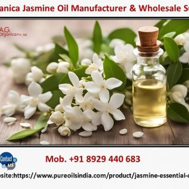AG Organica Jasmine Oil Manufacturer & Wholesale Supplier