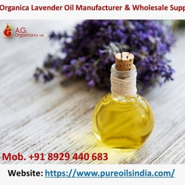 AG Organica Lavender Oil Manufacturer & Wholesale Supplier