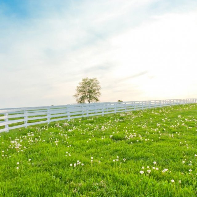 Pinecrest Fence Company
