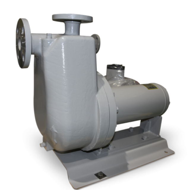 Hydrodyne pumps