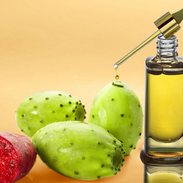 prickly pear seed oil in Bulk