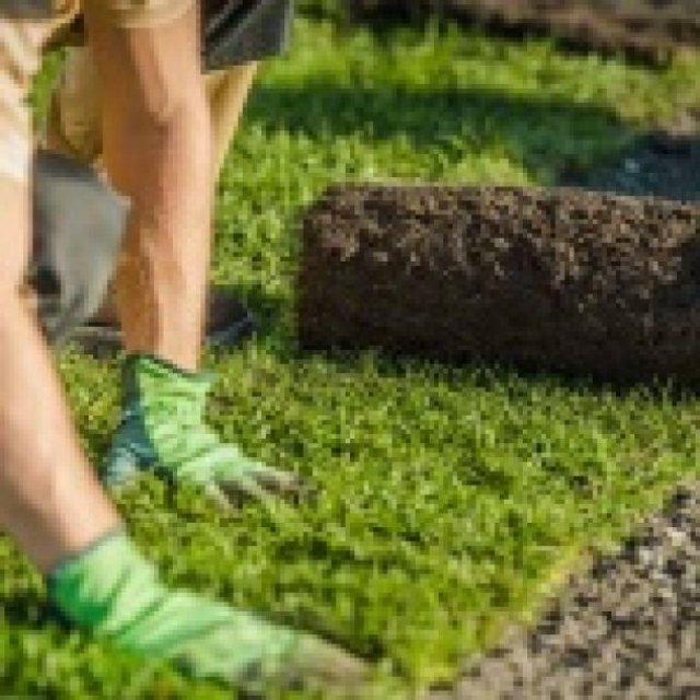 East London Landscaping LTD