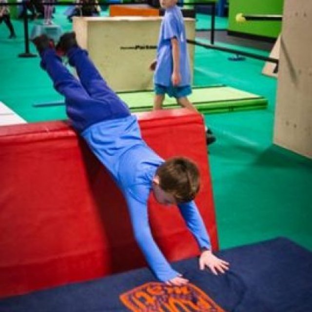 Albany Ninja Lab