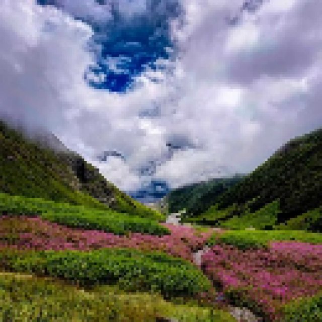 Trek the Himalayas