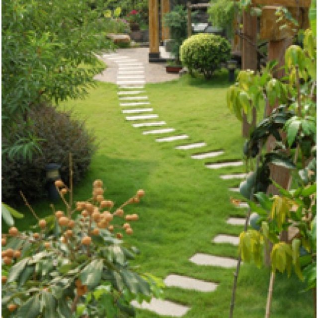 Affordable Landscape & Maintenance