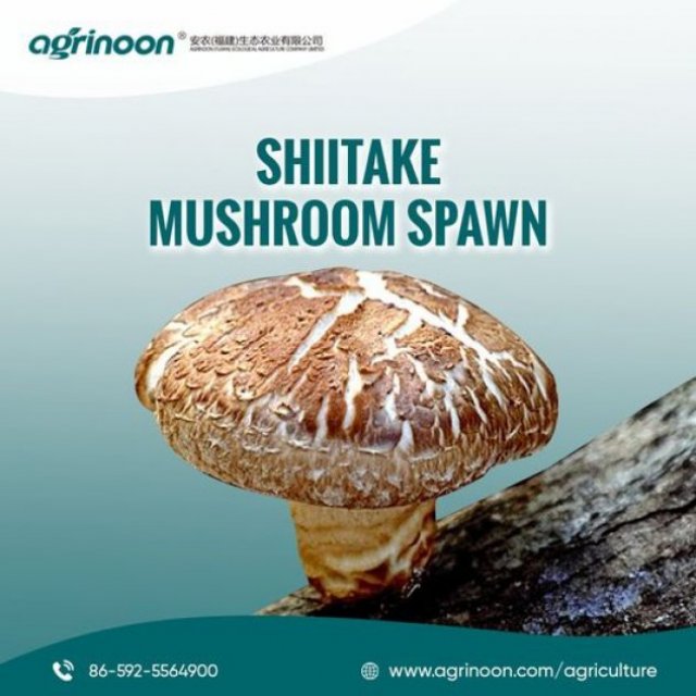 Agrinoon (Fujian) Ecological Agriculture Co. Ltd