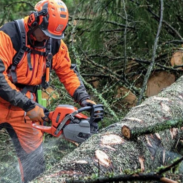 Leicester Tree Removal