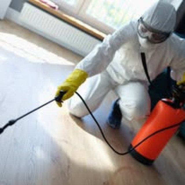 Yorkshire Bio Clean