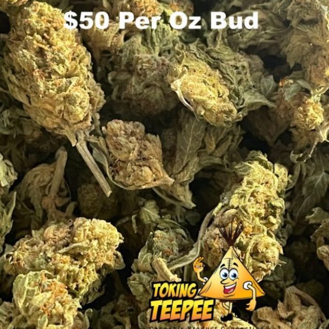 Toking Teepee