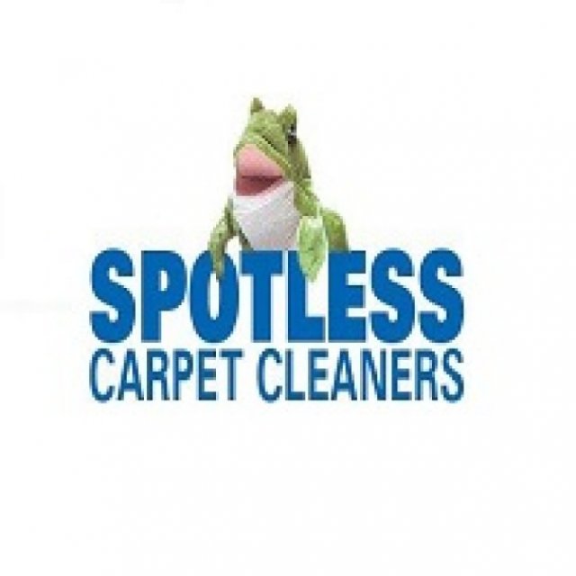 Sportless Carpet Cleaners