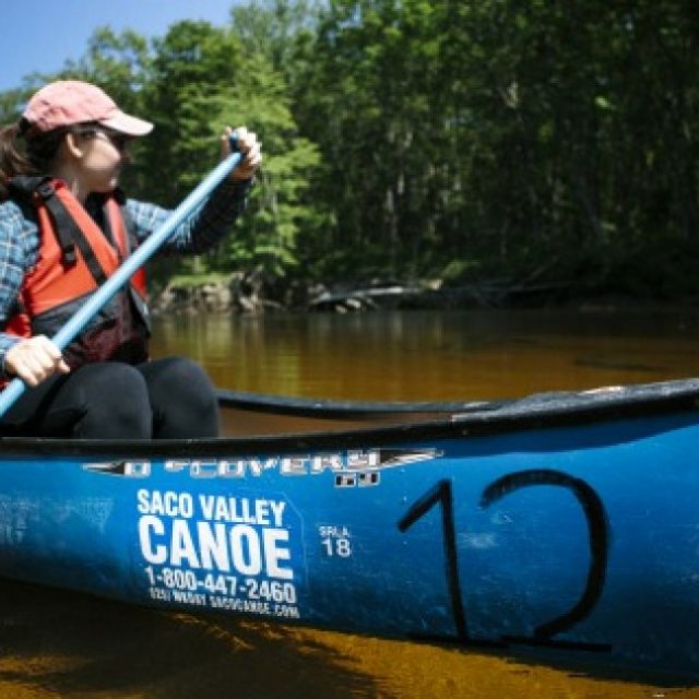 Saco Valley Canoe