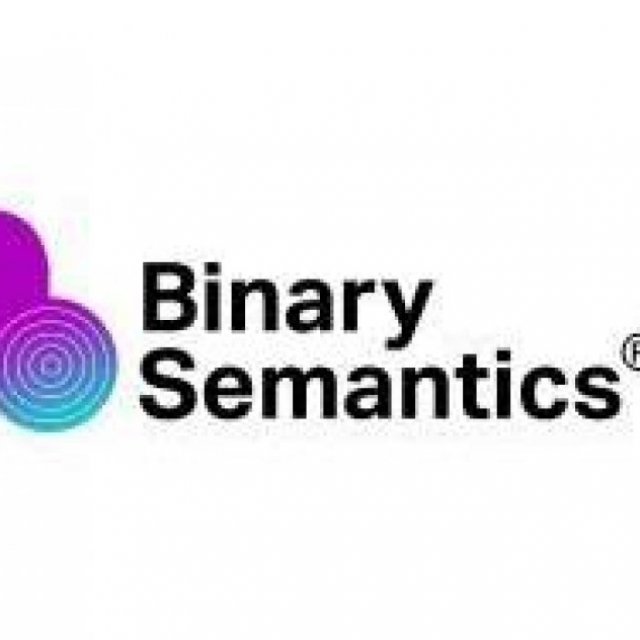 Binary Semantics LTD