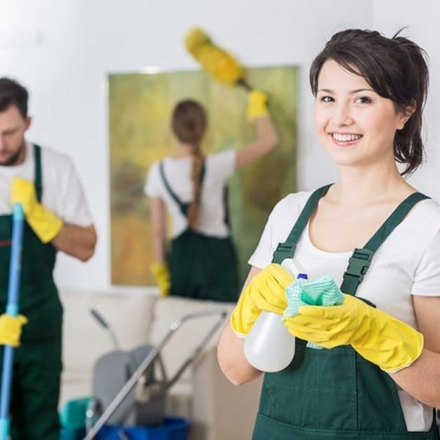 Tropishine Cleaning