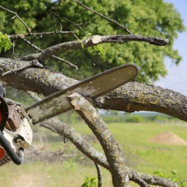 Elmer's Tree Service