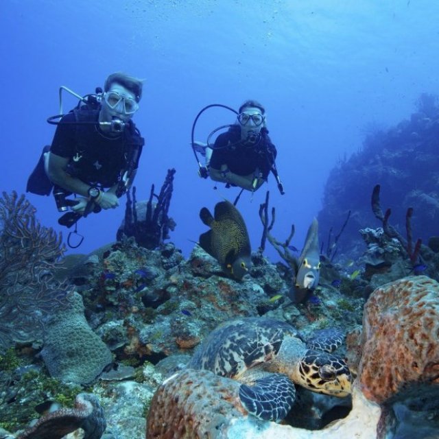 American Divers Phuket