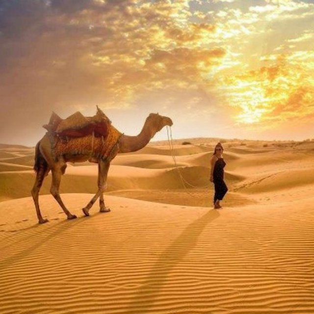 Desert Safari Ras AL Khaimah