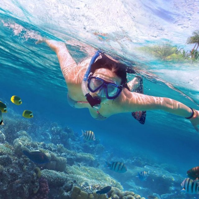 Maui Eco Tours