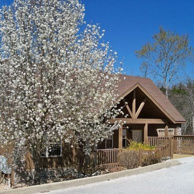 StoneBridge Resort Branson