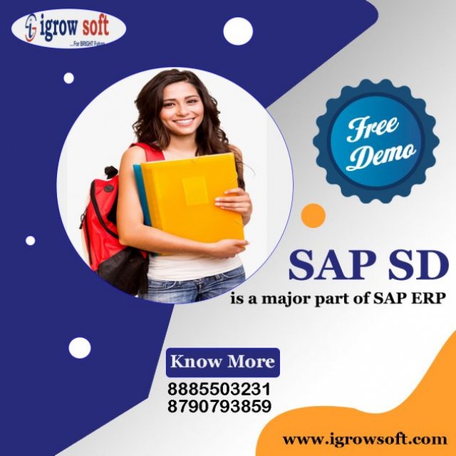 sap sd training | best sap sd training in Hyderabad