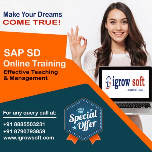 sap sd training | best sap sd training in Hyderabad