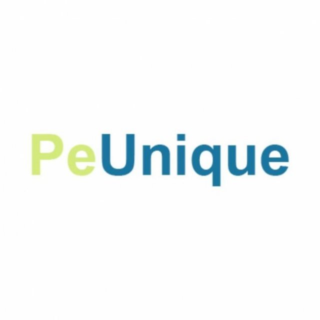 peunique payment solutions pvt ltd