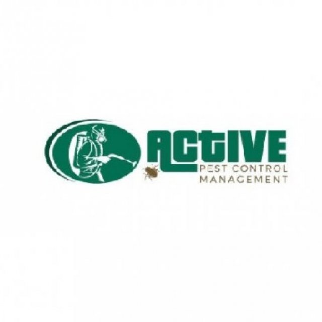 Rat Pest Control Sydney - Active Pest Control Management