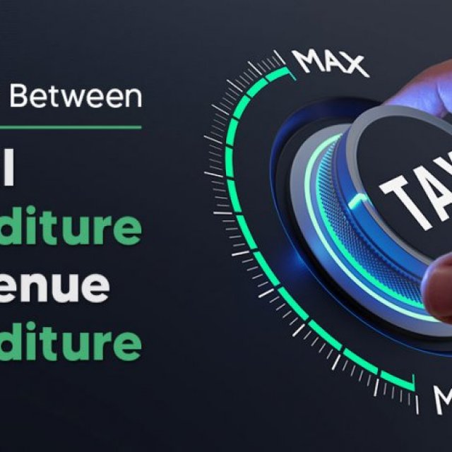 Capital Expenditure and Revenue Expenditure - Difference