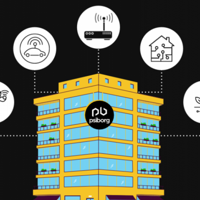 PsiBorg Technologies - IoT Solutions Development Company