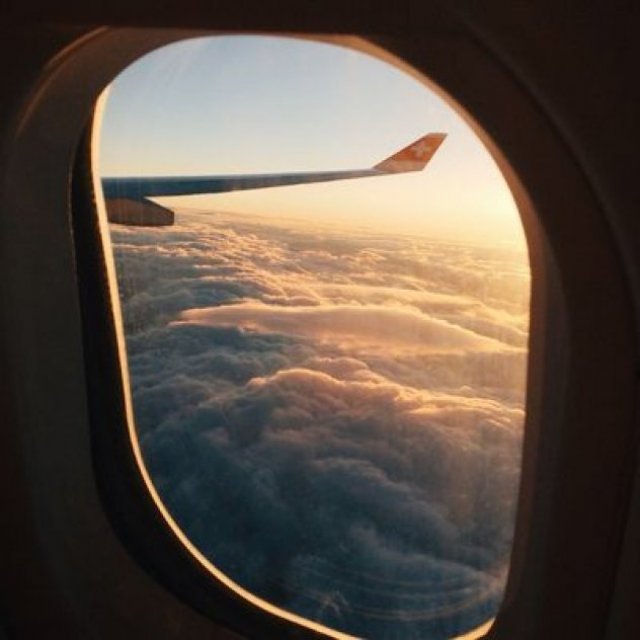 [Quick-Response] How Do I Contact to Alaska Airlines Customer Service Number