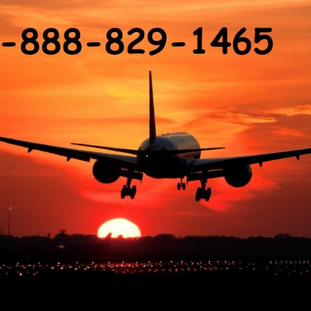 United Airline Cancellation Policy- Does United still offer free cancellation?
