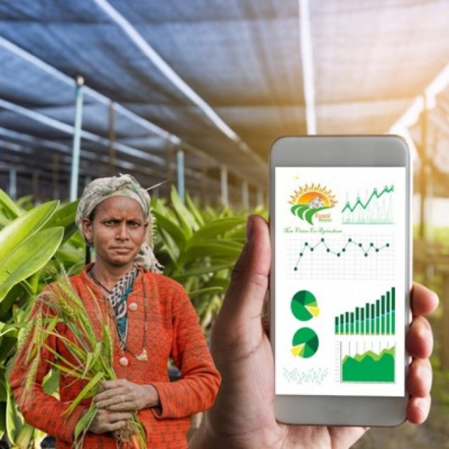 Empowering Rural Economies: Pathways to Prosperity and Sustainability