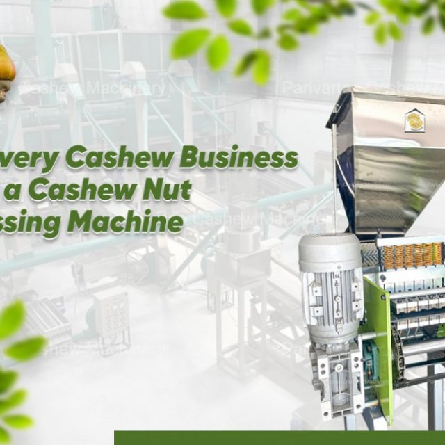 How a Cashew Nut Processing Machine Can Help You Scale Your Business