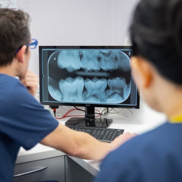 Damira Hove Dental Practice